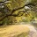 outdoor walking path